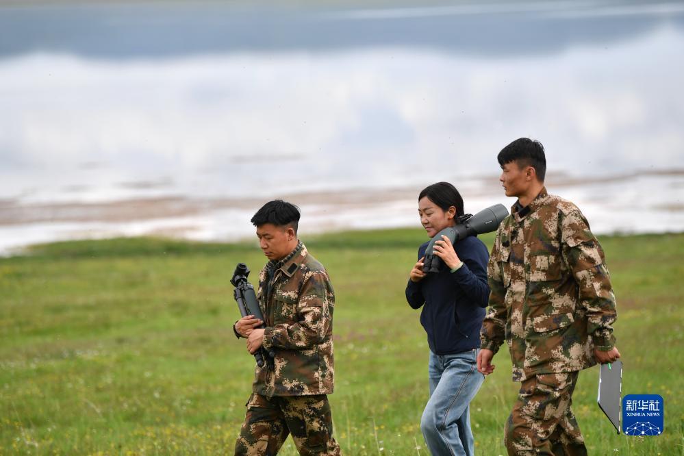问鼎平台注册